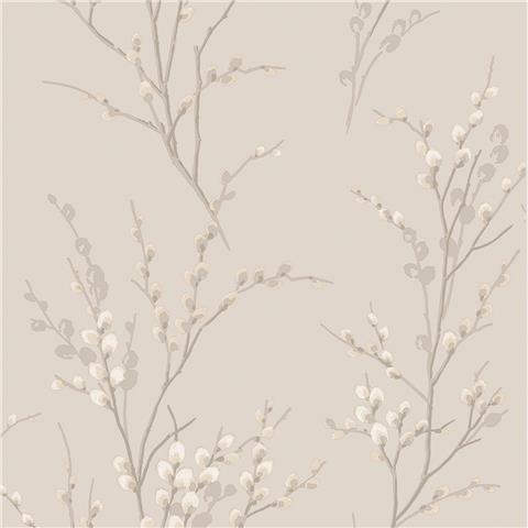 Laura Ashley Wallpaper Pussy willow 113361 Dove Grey