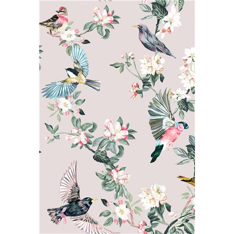Joules Handford Garden Birds Wallpaper 118562