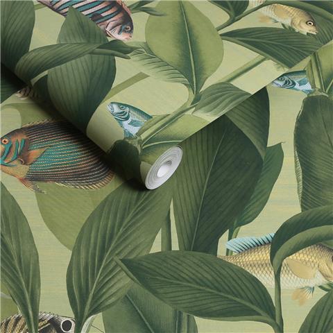 Graham and Brown Aquarium Wallpaper 124114 Green