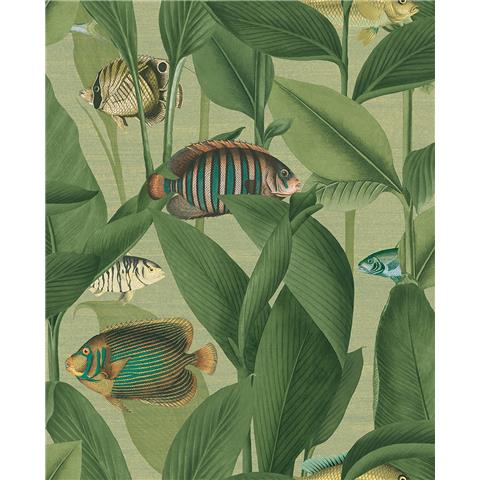 Graham and Brown Aquarium Wallpaper 124114 Green