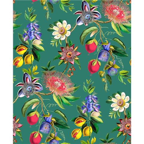 Graham and Brown Physic Garden Wallpaper 127918 Teal