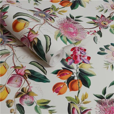 Graham and Brown Physic Garden Wallpaper 127919 Lush