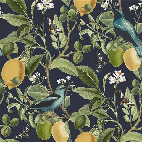 NEXT Fruit Tree Midnight Wallpaper 128836