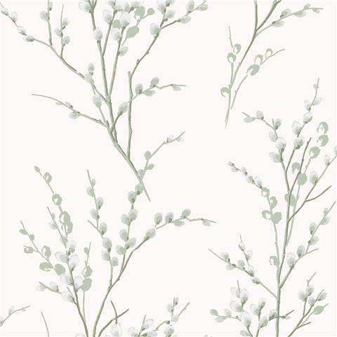 Laura Ashley Wallpaper Pussy Willow 130115 Sage Green