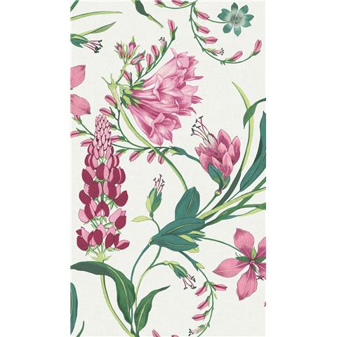 GRAHAM AND BROWN CONCERTO WALLPAPER COLLECTION Botanists Scroll 130296 pink