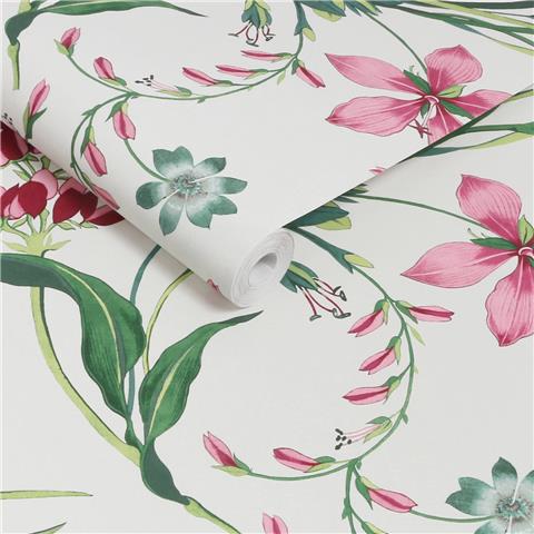 GRAHAM AND BROWN CONCERTO WALLPAPER COLLECTION Botanists Scroll 130296 pink