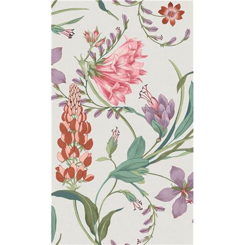 GRAHAM AND BROWN CONCERTO WALLPAPER COLLECTION Botanists Scroll 130297 mauve