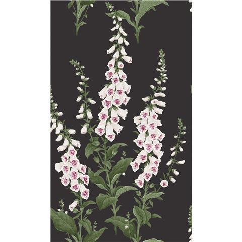 GRAHAM AND BROWN CONCERTO WALLPAPER COLLECTION Foxglove 130305 black