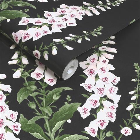 GRAHAM AND BROWN CONCERTO WALLPAPER COLLECTION Foxglove 130305 black