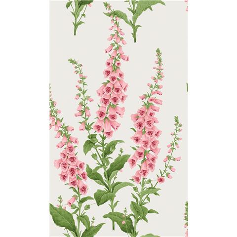 GRAHAM AND BROWN CONCERTO WALLPAPER COLLECTION Foxglove 130307 Blush