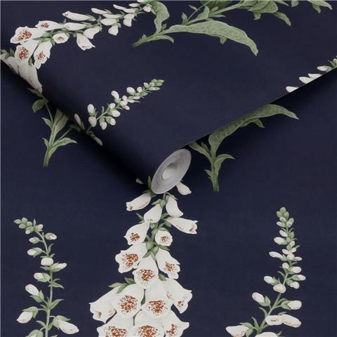 GRAHAM AND BROWN CONCERTO WALLPAPER COLLECTION Foxglove 130308 midnight