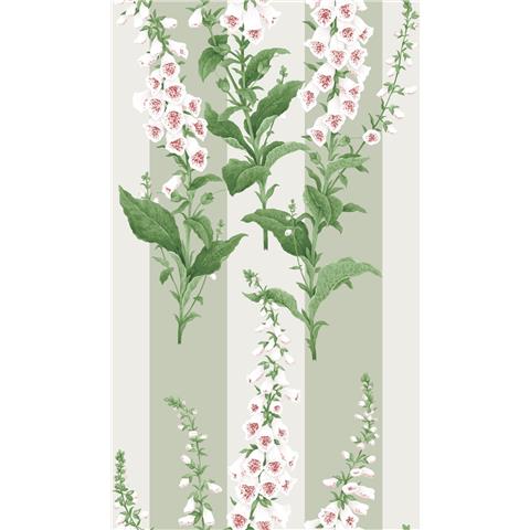 GRAHAM AND BROWN CONCERTO WALLPAPER COLLECTION Foxglove stripe 130309 sage