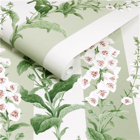 GRAHAM AND BROWN CONCERTO WALLPAPER COLLECTION Foxglove stripe 130309 sage