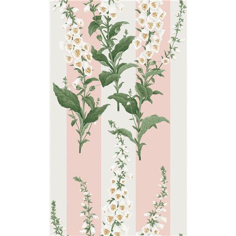 GRAHAM AND BROWN CONCERTO WALLPAPER COLLECTION Foxglove stripe 130310 Blush