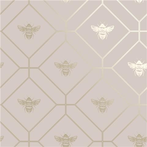 Holden Honeycomb Bee Wallpaper 13083 Pink