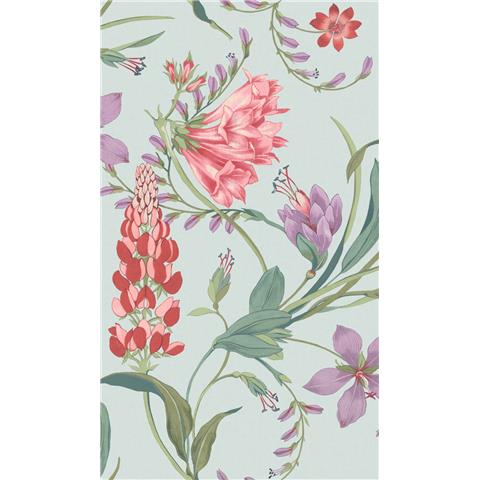 GRAHAM AND BROWN CONCERTO WALLPAPER COLLECTION Botanists Scroll 131672 Duck Egg