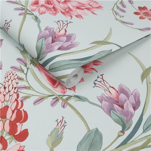 GRAHAM AND BROWN CONCERTO WALLPAPER COLLECTION Botanists Scroll 131672 Duck Egg