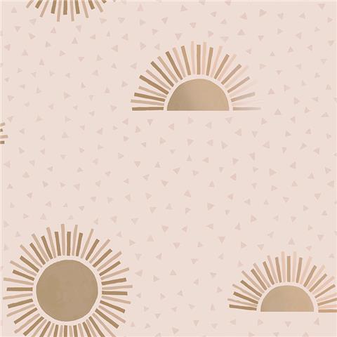 Dreamcatcher Sunbeam Wallpaper 13321 Pink
