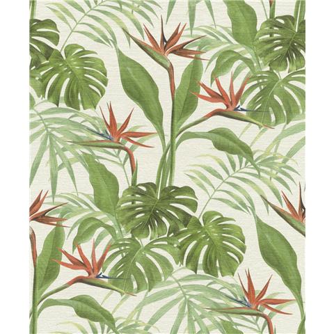 Rasch mandalay Palm wallpaper 529029-1034 Green/terracotta