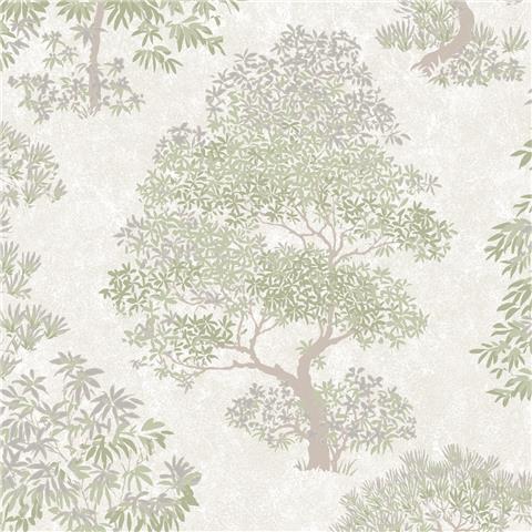 Super Fresco Linden Elmwood Wallpaper 140056 Sage