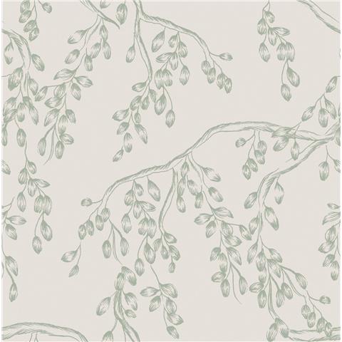 Laura Ashley Wallpaper Rainham Willow 140333 Sage
