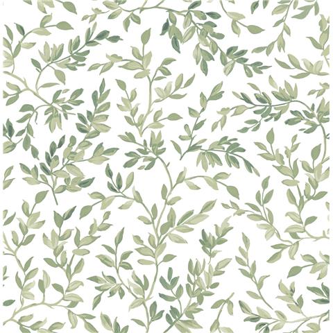 GRAHAM AND BROWN Allurium WALLPAPER Archivists leaf 142345 Day