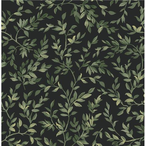 GRAHAM AND BROWN Allurium WALLPAPER Archivists leaf 142347 Night