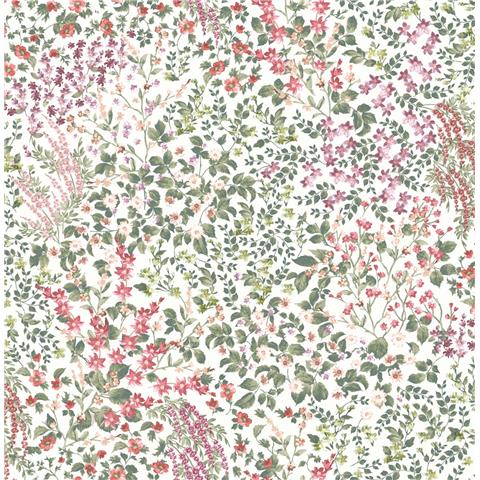 GRAHAM AND BROWN Allurium WALLPAPER Painterly Flora 142353 Day