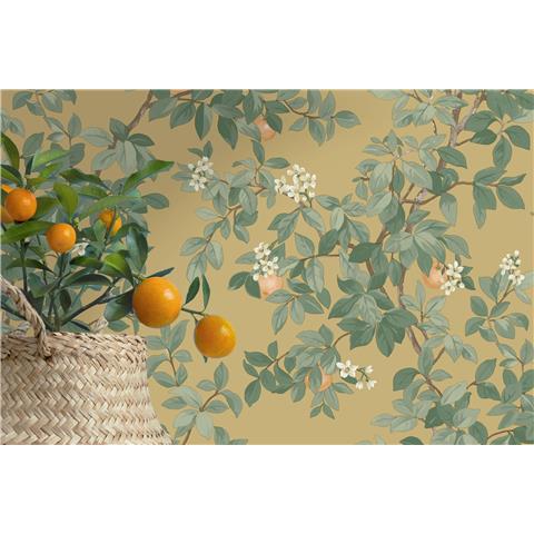 Holden Statement Symphony Wallpaper Orange Tree 14241 Ochre/Olive