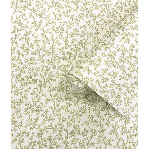 Holden Statement Coral Wallpaper 14300 Sage