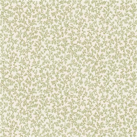 Holden Statement Coral Wallpaper 14300 Sage