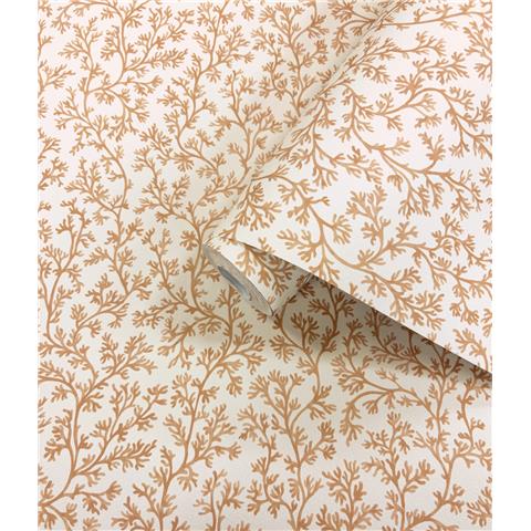 Holden Statement Coral Wallpaper 14301 Coral