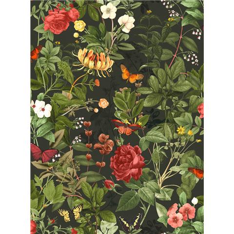 Graham and Brown Solstice Wallpaper Collection Bobnant Garden143506 Forest (2 roll set)