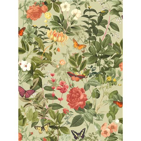 Graham and Brown Solstice Wallpaper Collection Bobnant Garden143507 Willow (2 roll set)