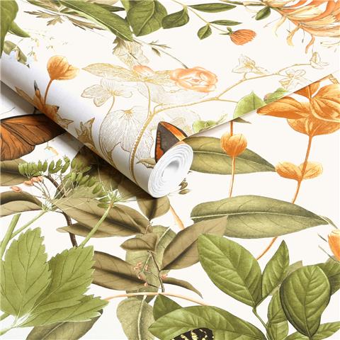 Graham and Brown Solstice Wallpaper Collection Bobnant Garden143508 Creme Brulee (2 roll set)