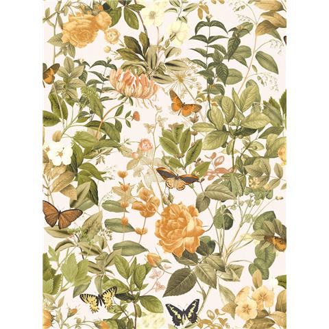 Graham and Brown Solstice Wallpaper Collection Bobnant Garden143508 Creme Brulee (2 roll set)