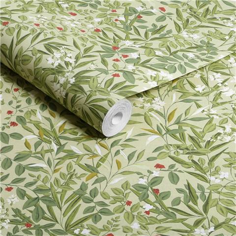 Graham and Brown Solstice Wallpaper Collection Reverie 143512 Willow