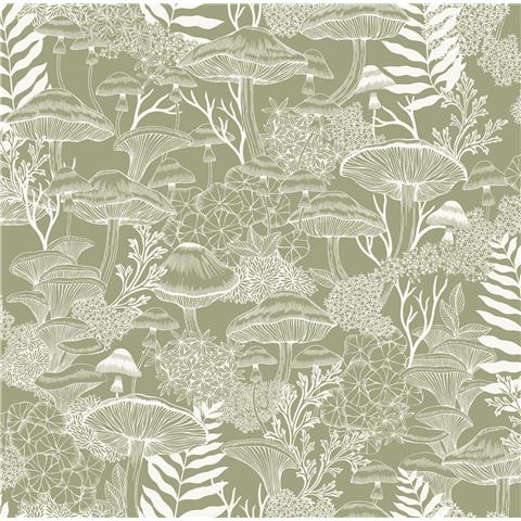 Graham and Brown Solstice Wallpaper Collection Fungi Folklore 143529 Willow