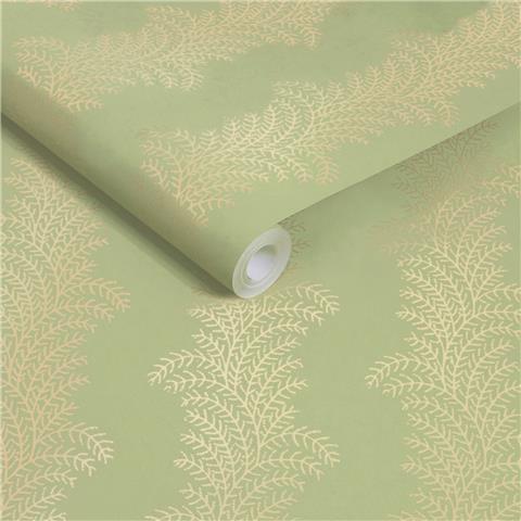 Graham and Brown Solstice Wallpaper Collection Whispering Fern 143536 Dark Sage