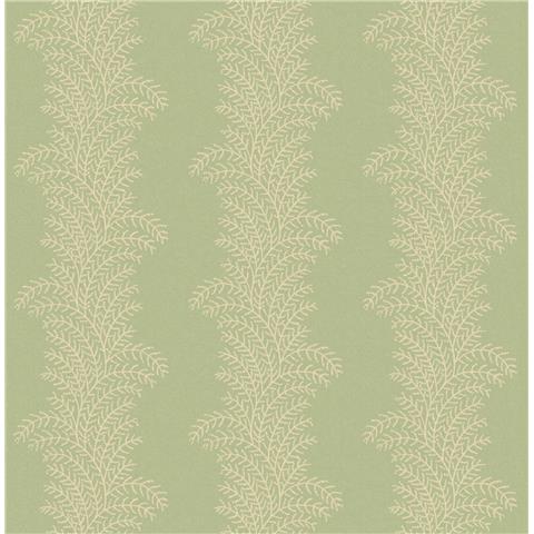 Graham and Brown Solstice Wallpaper Collection Whispering Fern 143536 Dark Sage
