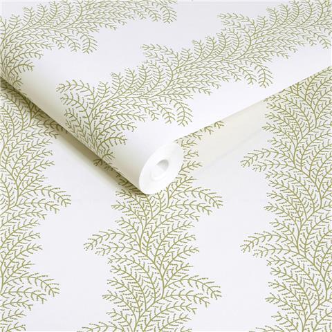 Graham and Brown Solstice Wallpaper Collection Whispering Fern 143537 Willow