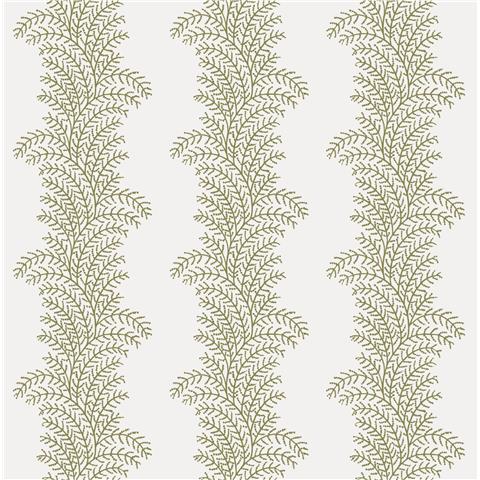 Graham and Brown Solstice Wallpaper Collection Whispering Fern 143537 Willow