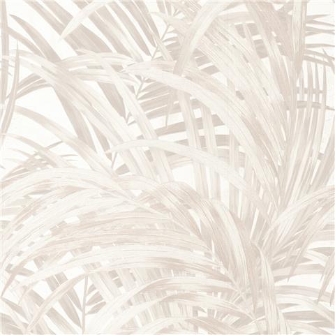 Boutique Sanctuary Wallpaper Congo Palm 145702 Pearl