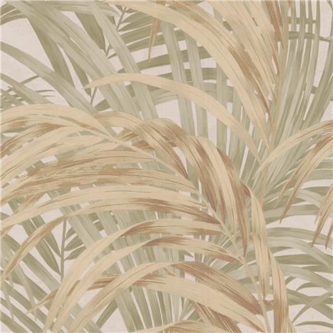 Boutique Sanctuary Wallpaper Congo Palm 145705 Sage/Gold