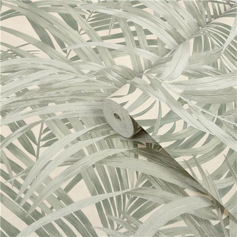 Boutique Sanctuary Wallpaper Congo Palm 145706 Forest