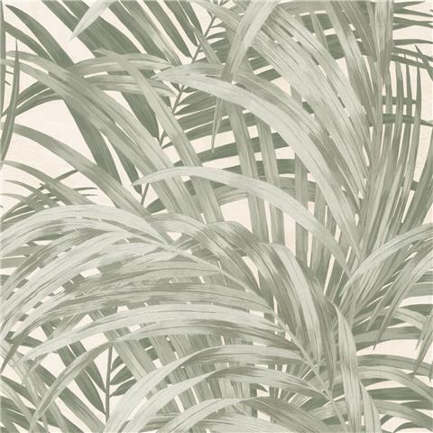 Boutique Sanctuary Wallpaper Congo Palm 145706 Forest