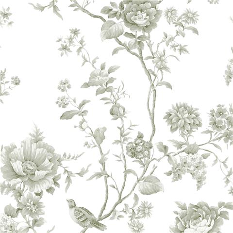 Martha Stewart Wallpaper Floral Vine 146808 Moss