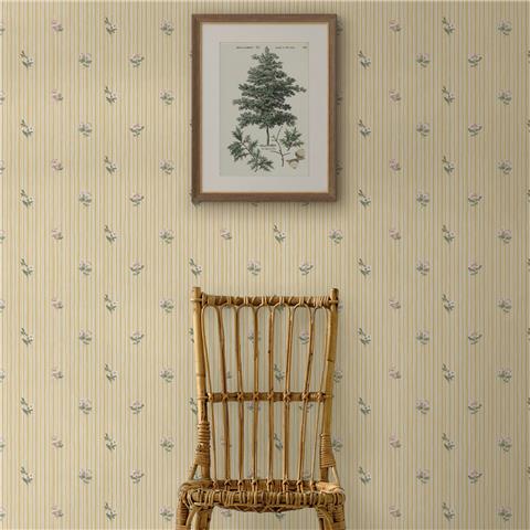 Martha Stewart Wallpaper Garden Stripe 146816 Ochre
