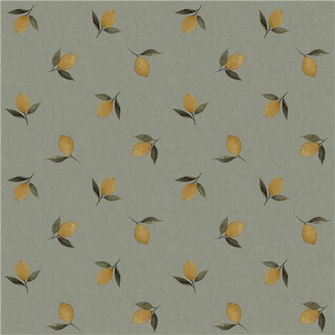 Sophie Allport Lemons Wallpaper 146847 Greenhouse