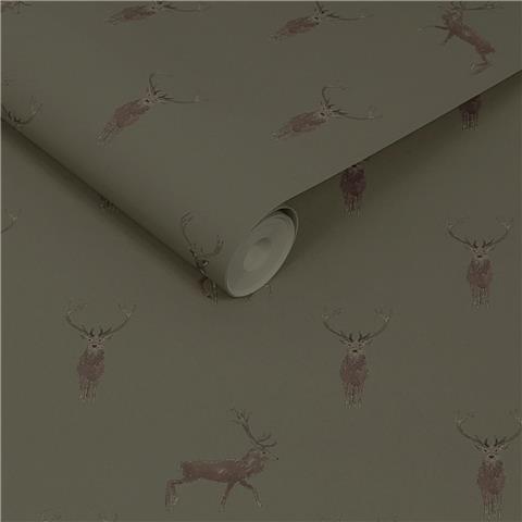 Sophie Allport Highland Stag Wallpaper 146854 Charcoal